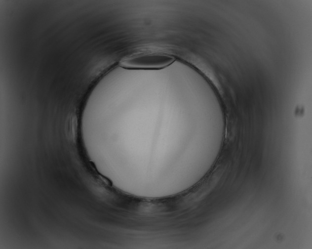 X0000102830109200809081205