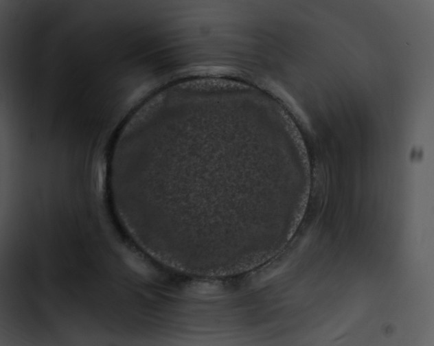 X0000102830110200809081205