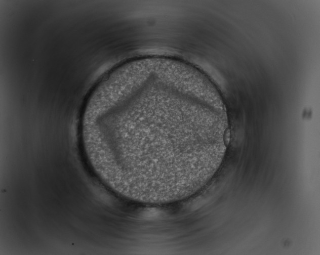 X0000102830111200809081205