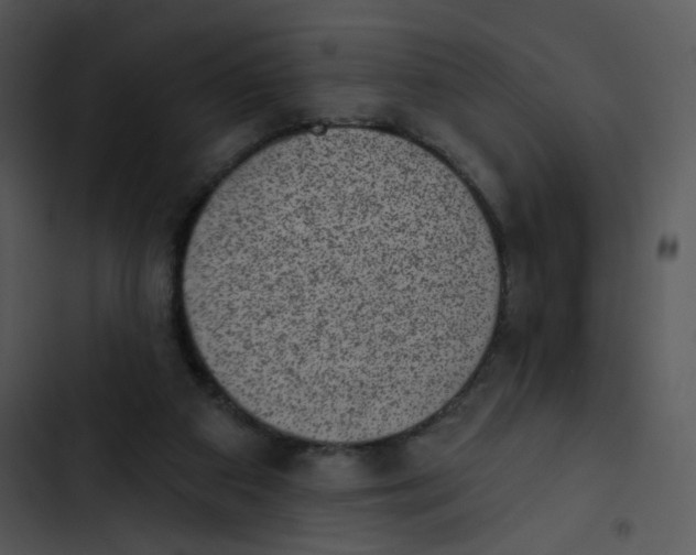X0000102830113200809081205