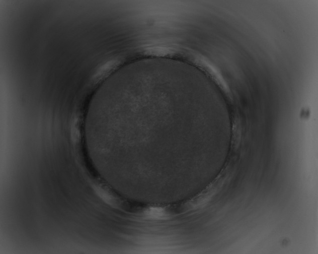 X0000102830114200809081205