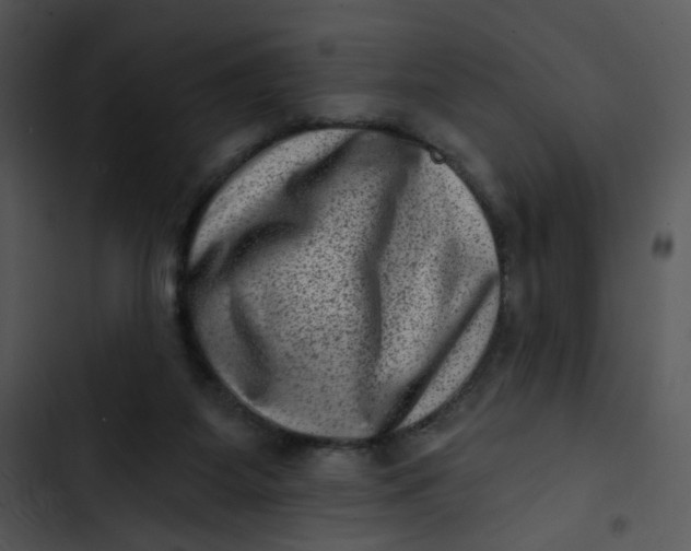 X0000102830115200809081205