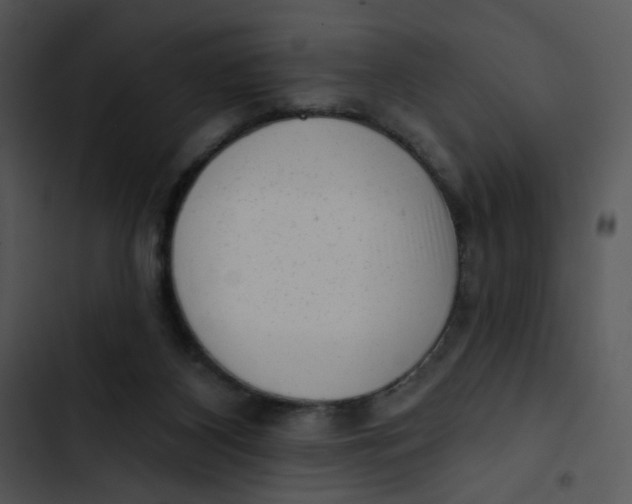 X0000102830116200809081205