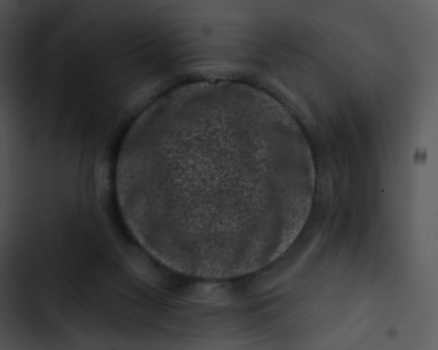 X0000102830117200809081205
