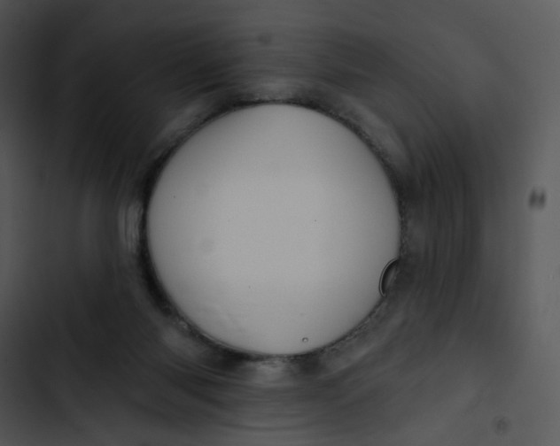 X0000102830118200809081205