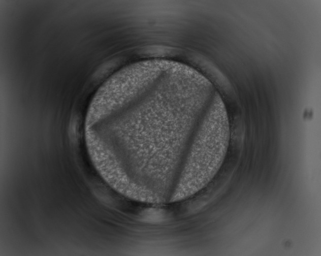 X0000102830119200809081205