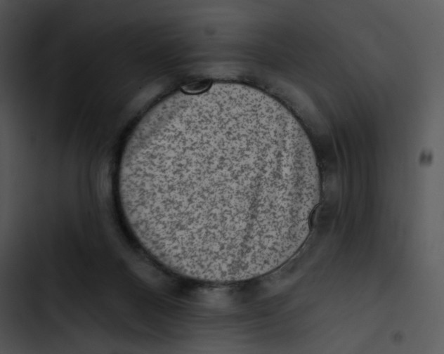 X0000102830120200809081205
