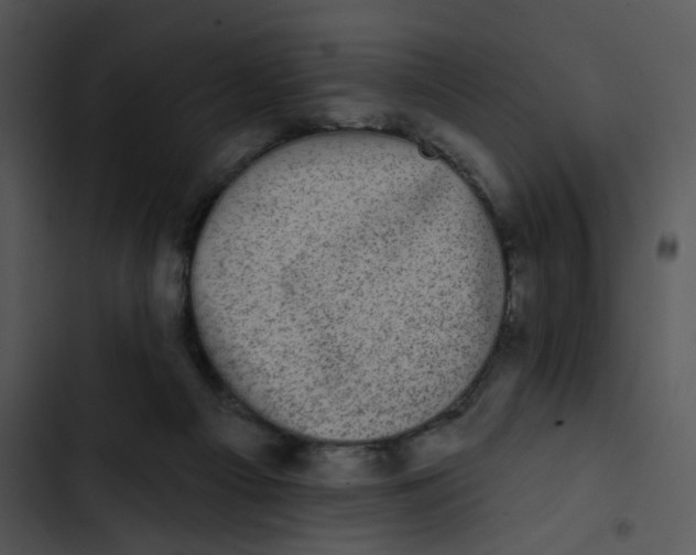 X0000102830121200809081205