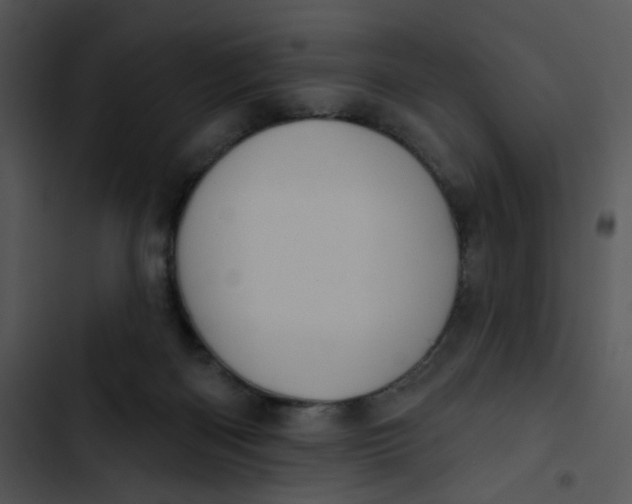 X0000102830122200809081205