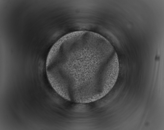 X0000102830123200809081205