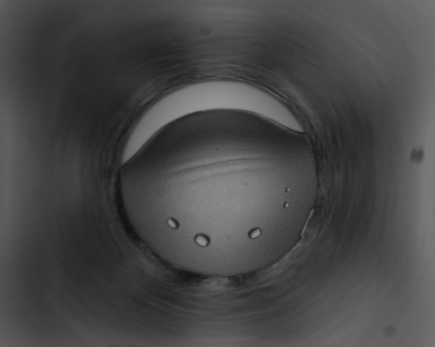 X0000102830124200809081205