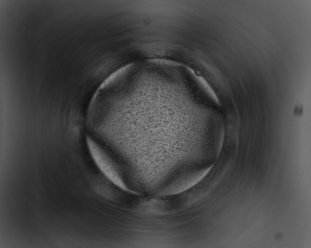X0000102830125200809081205
