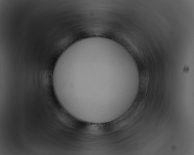 X0000102830126200809081205