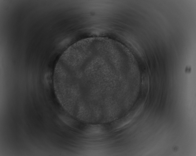 X0000102830127200809081205