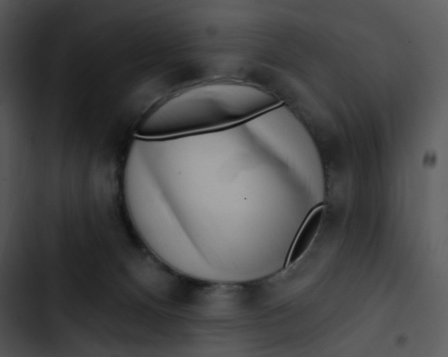 X0000102830128200809081204