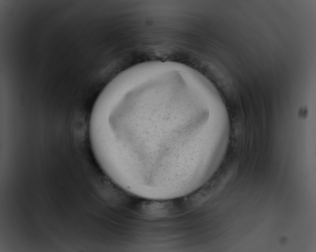 X0000102830129200809081204