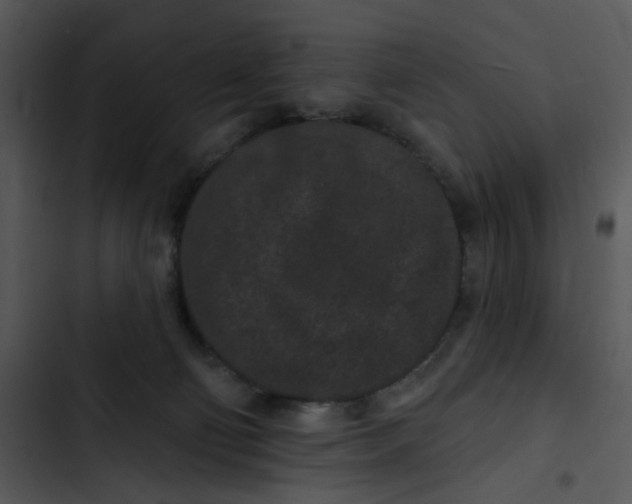 X0000102830130200809081204