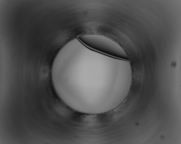 X0000102830132200809081204