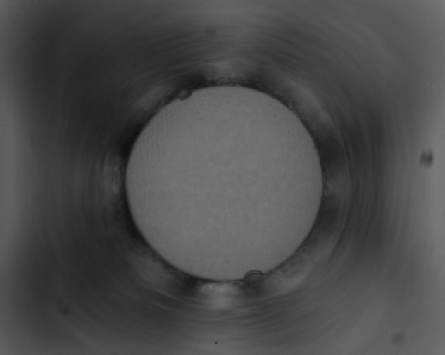 X0000102830133200809081204