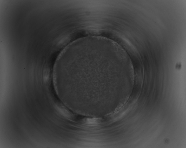 X0000102830134200809081204