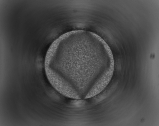 X0000102830135200809081204