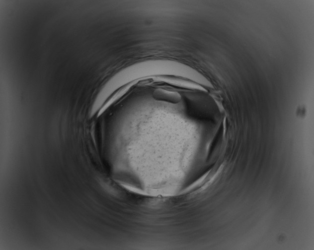 X0000102830136200809081204