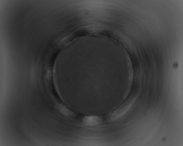 X0000102830137200809081204