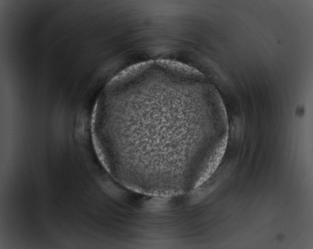 X0000102830138200809081204