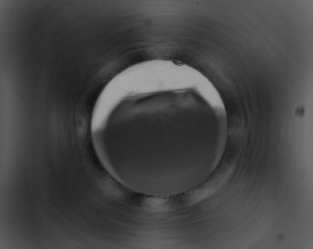 X0000102830139200809081204