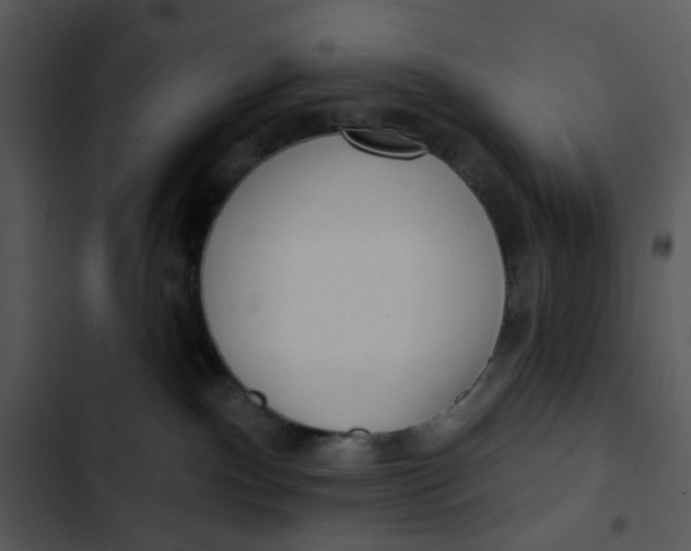 X0000102830140200809081204