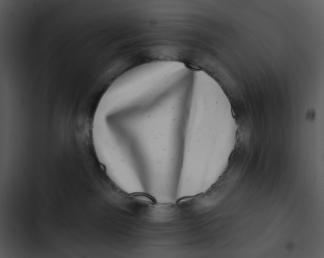 X0000102830141200809081204