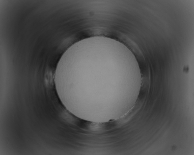X0000102830142200809081204