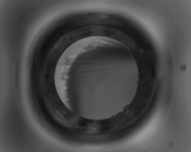 X0000102830143200809081204