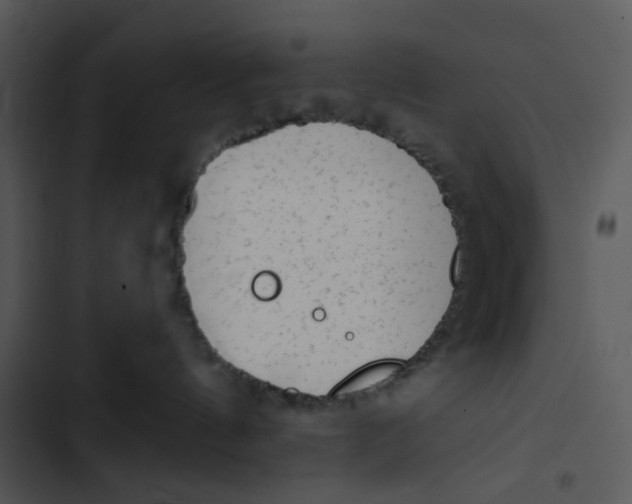 X0000102830144200809081204