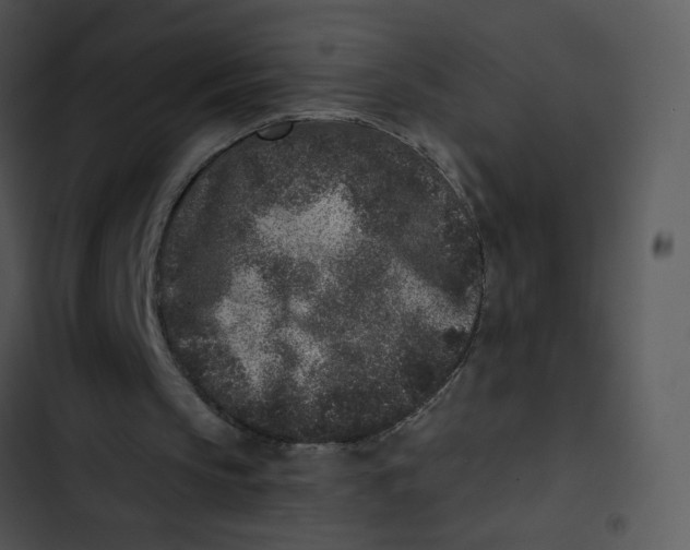 X0000102830145200809081204