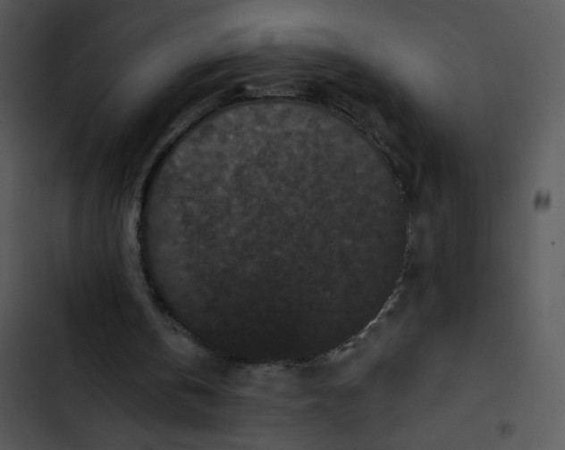 X0000102830146200809081204
