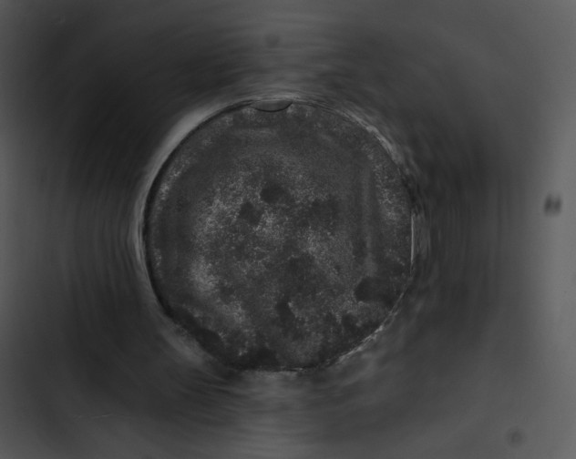 X0000102830147200809081204