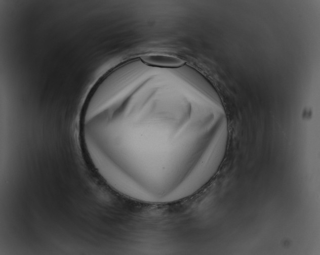 X0000102830148200809081204