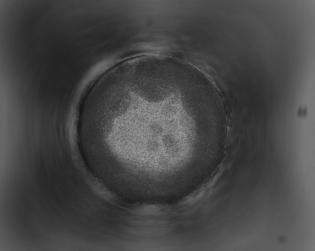 X0000102830149200809081204