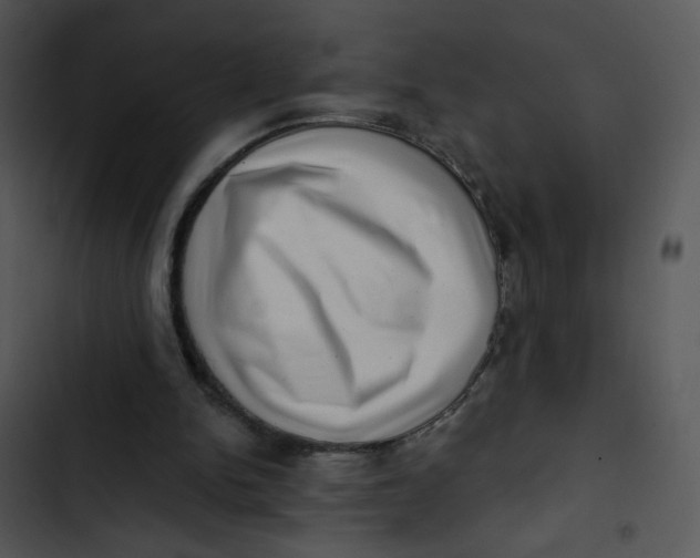 X0000102830150200809081204