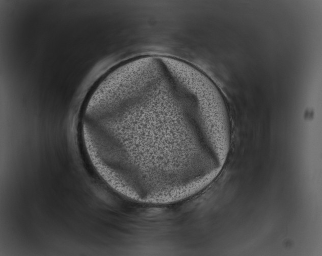 X0000102830151200809081204