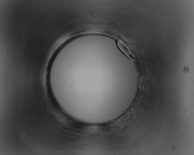 X0000102830152200809081204