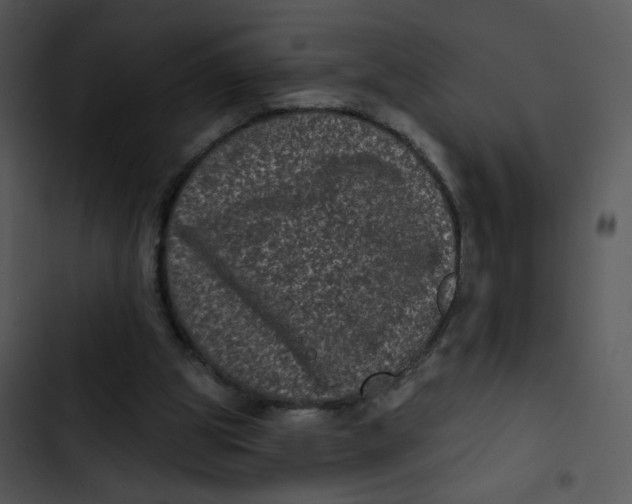 X0000102830153200809081204