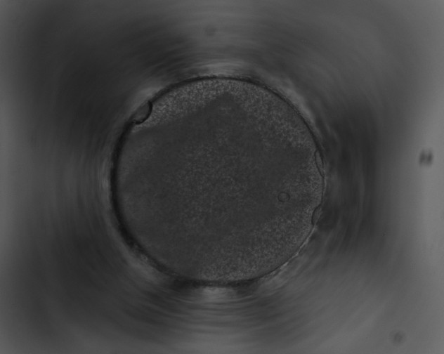 X0000102830154200809081204