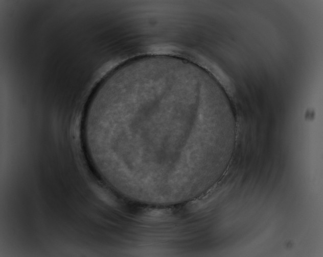 X0000102830155200809081204
