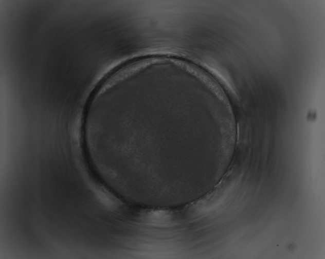 X0000102830156200809081204