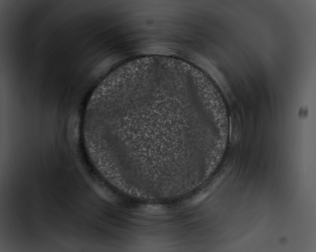 X0000102830157200809081204