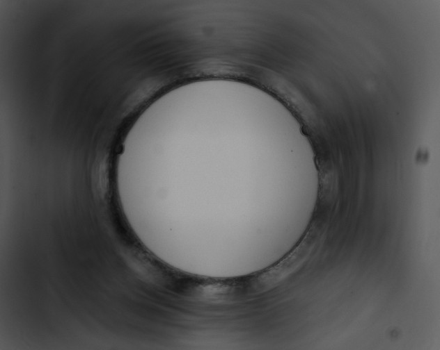 X0000102830158200809081204