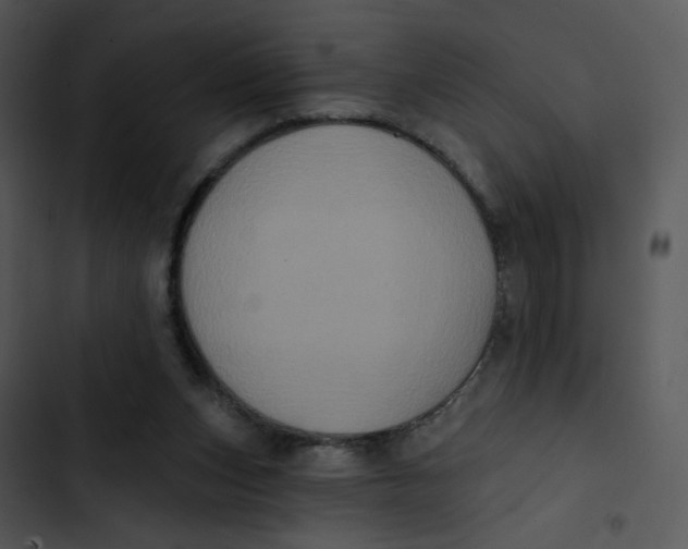 X0000102830159200809081204