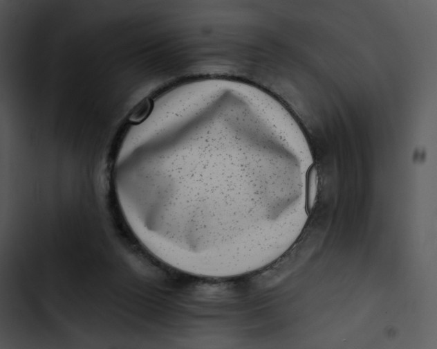 X0000102830160200809081204